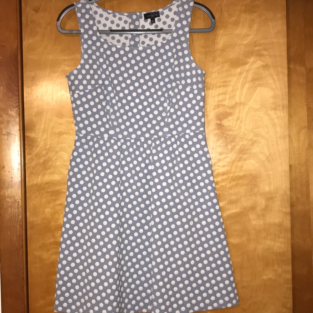 The Limited Polka Dot Dress